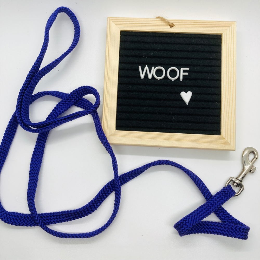 Purple Rope Dog Leash Silver Hardware Small Dog